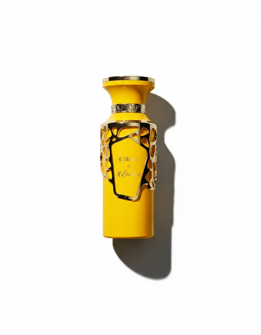 Flat-lay Ode to Elixir perfume with dramatic shadow